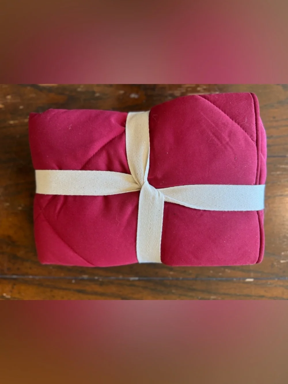Pottery Barn Kids Quilted Sham Red Standard Cozy Bedding NWT